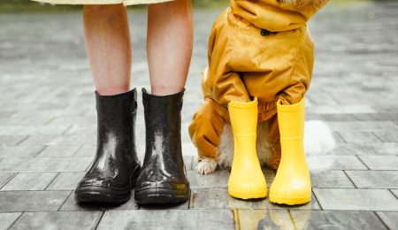 pet insurance