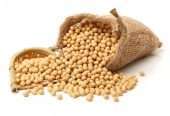 Soybean Non GMO