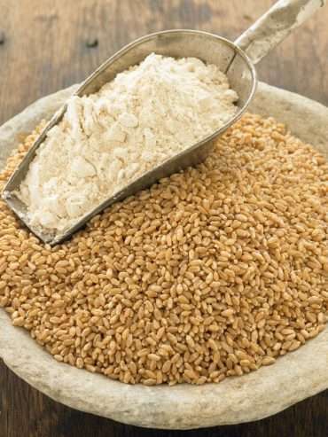 Wheat-grain33
