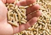 Wood pellets