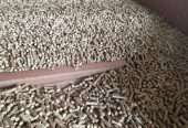 High Quality Wood Pellets Wood