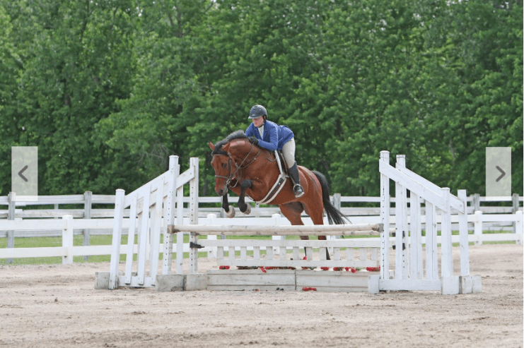 Energized Jumper Oldenburg