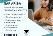 Sap Ariba Online Training